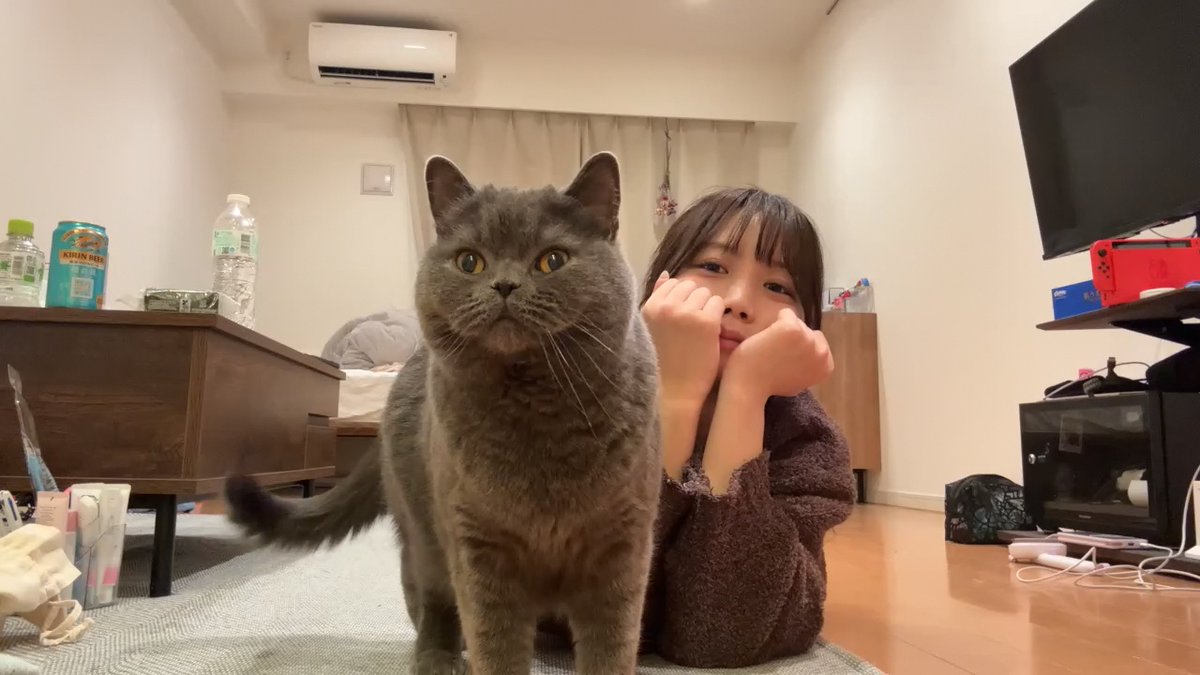 クリッパーびんびん年中無休 tweet media