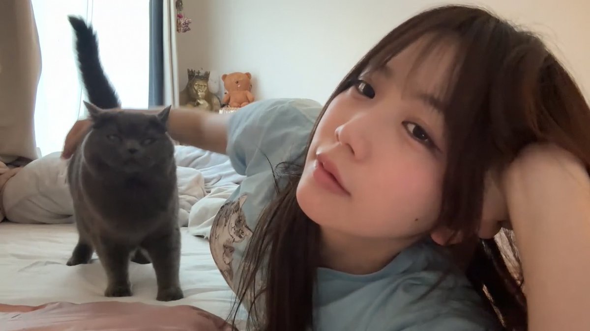 クリッパーびんびん年中無休 tweet media