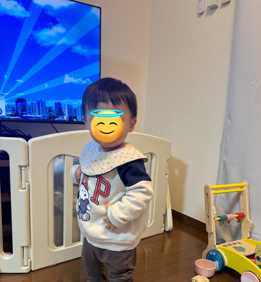 のんぴ☺︎🦕🩵 (@sakeyakuzaneko) / Posts / X