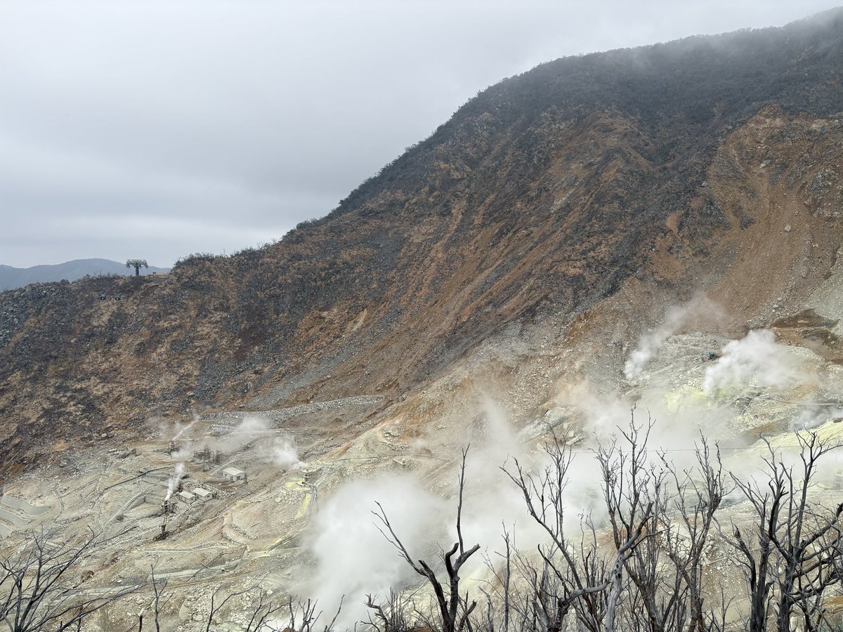 えみた tweet media