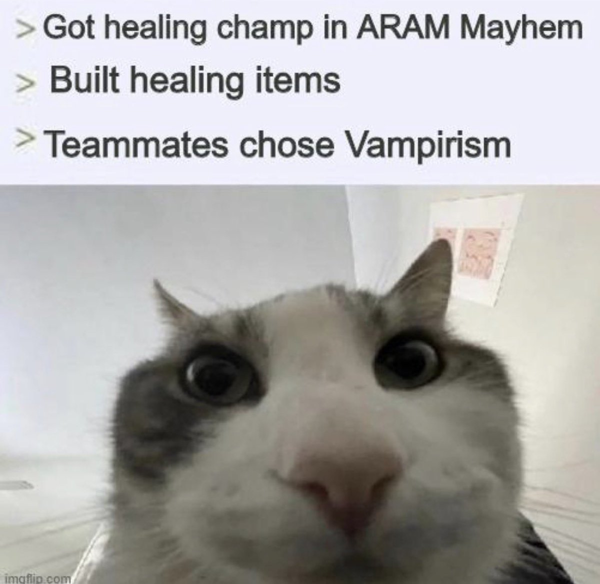 1v9.GG tweet media