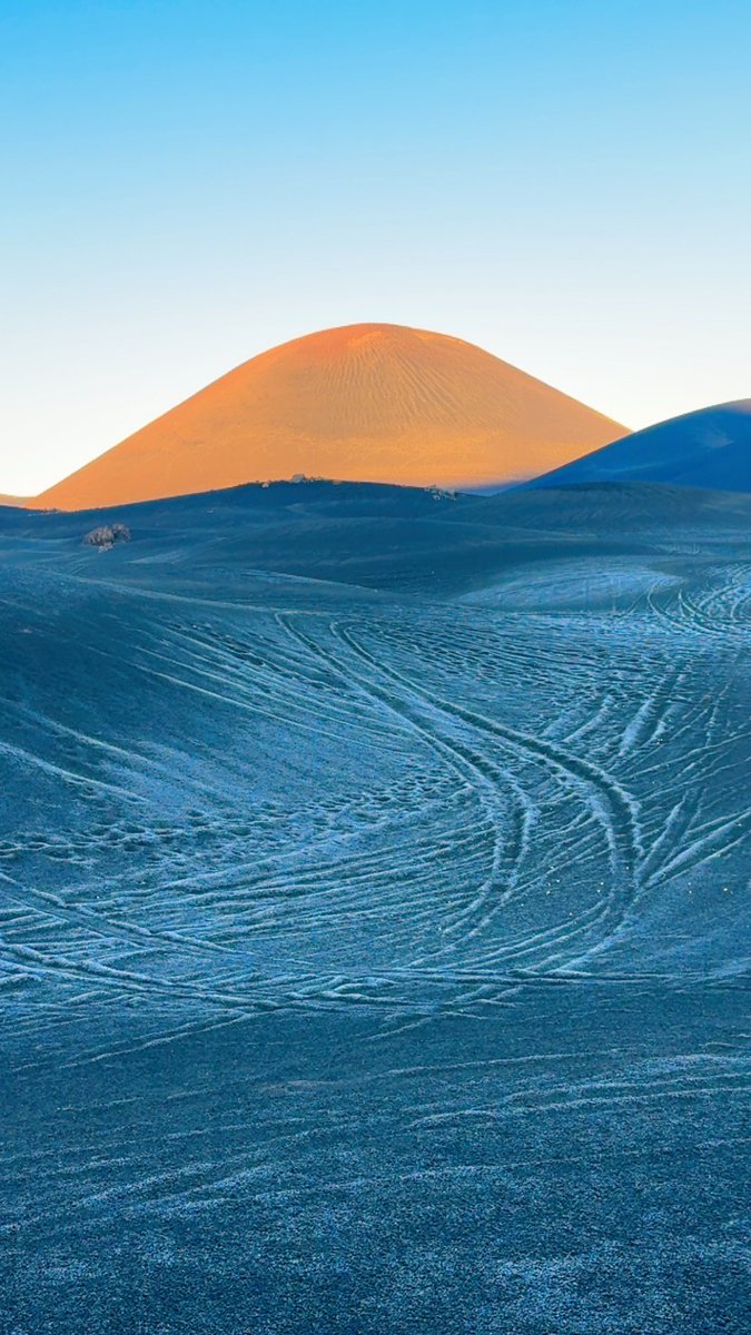 طقس العيص tweet media