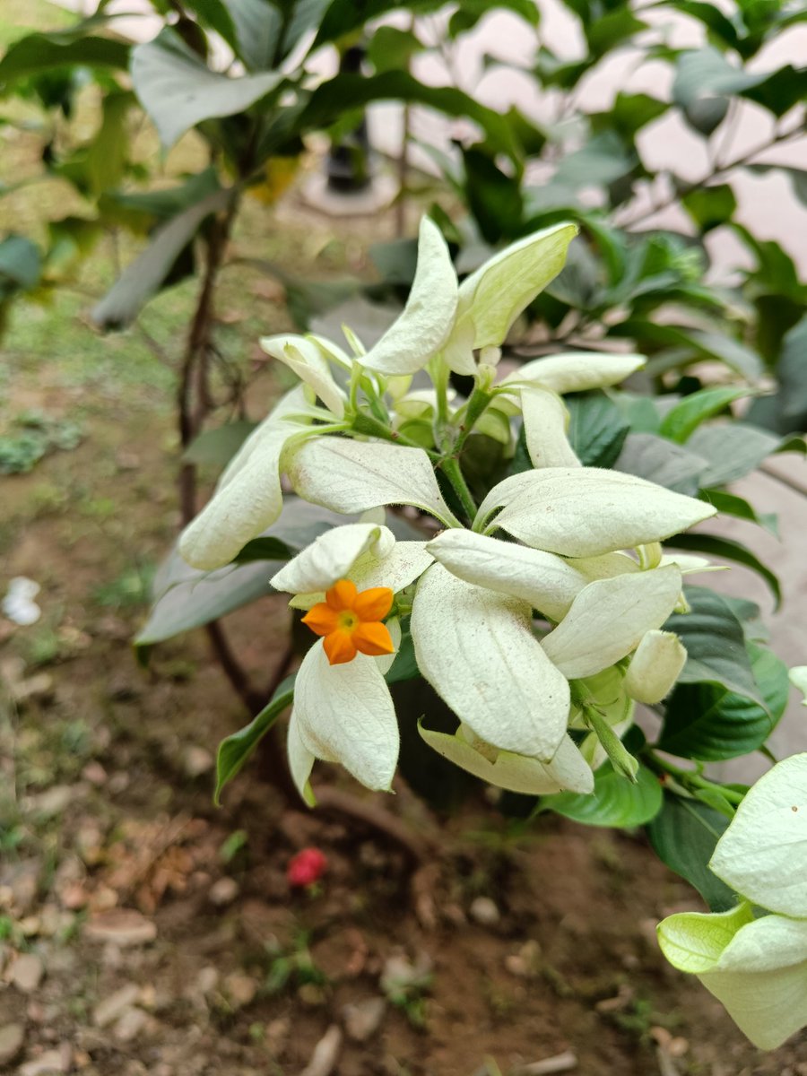 Today, I choose energy, focus, and health...

And you?