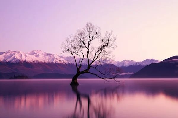 DTNEtiquette's tweet photo. Take the time to ignore the negativity and appreciate each magnificent moment right before you! ~ #DTN #EmbraceTheMoment #Bepresent #ChooseOptimism https://t.co/RF1vqibN1g