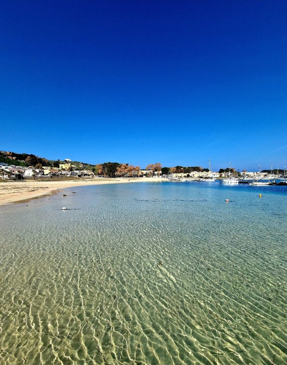 Valeria  tweet media