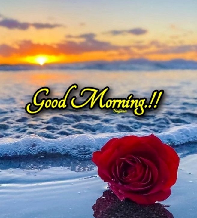 Morning reminder: what’s meant for, you won’t miss you.
God didn’t wake you up for nothing. There’s purpose waiting. 
Pray first. Stress later , or don't stress at all.
Good morning.

#AngelTAt36 | #IranWar | Sahur
World War 3 | Ya Rabb | O Allah