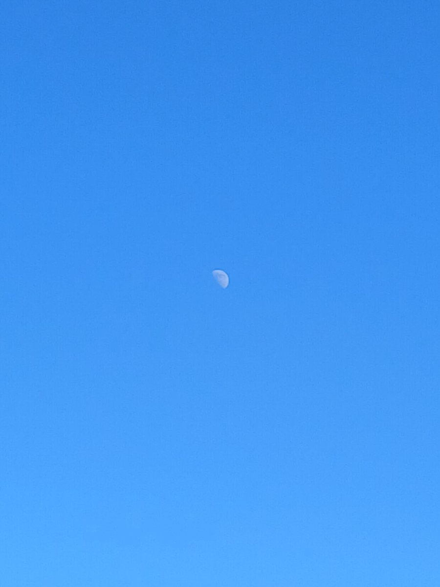 Tw949557's tweet image. Guten Morgen liebe Freunde und Twitter Bande.
Ich wünsche euch allen einen guten Start in die neue Woche 😊☕️☕️🥐

Der Mond in der Mittagszeit 
📸