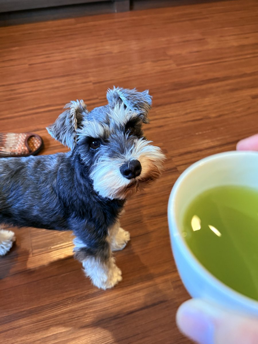 野口祥汰@【スラ無】第①巻発売中 tweet media