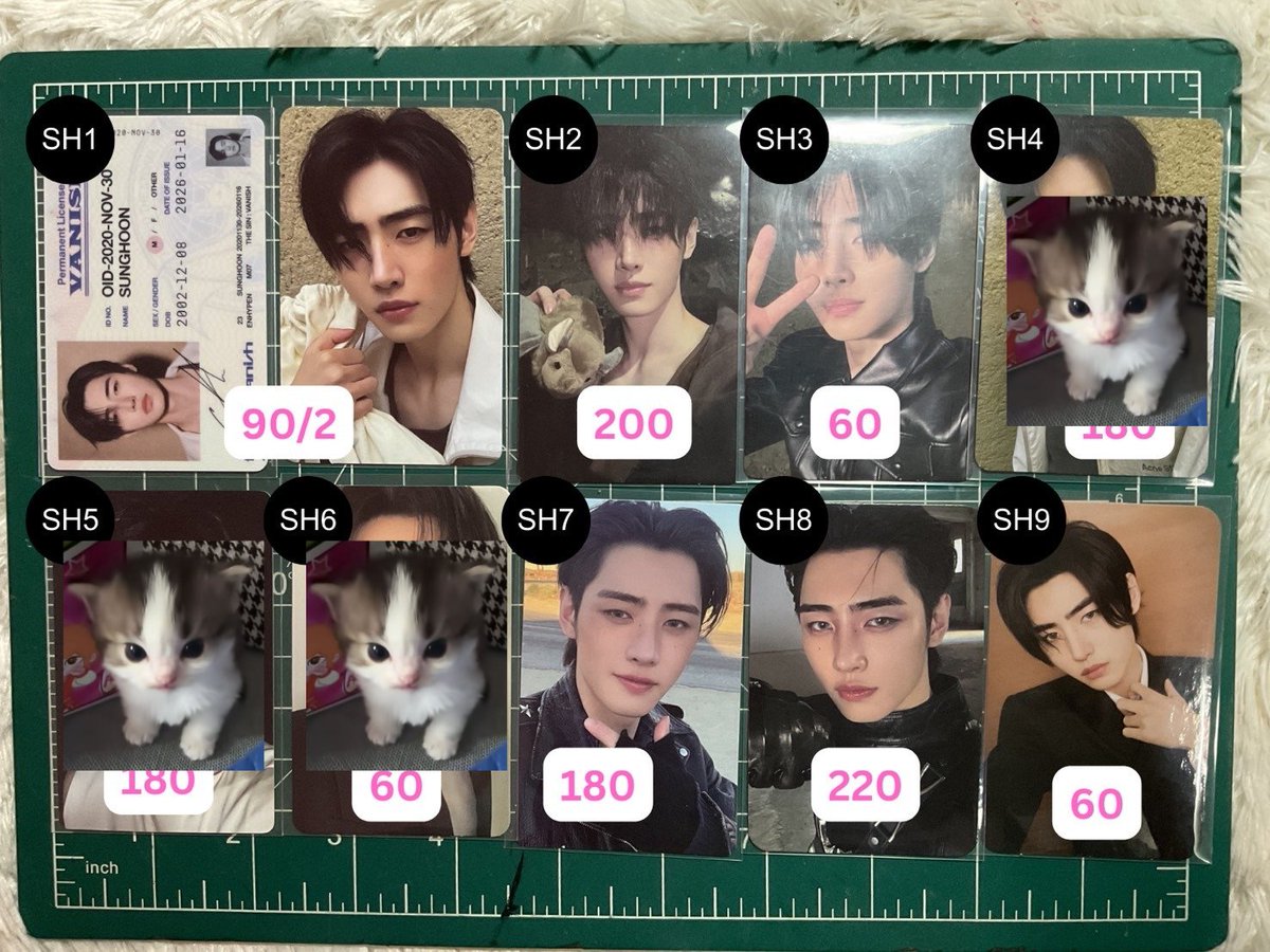 cheri_peanut's tweet photo. ⌗ wts / ready to ship ♪‧⁺ 
                   
                      ((kindly rt))。
~ ♡ sunghoon ราคาตามภาพ。♡
        
         ꒰ รับผ่อน/วอลเลท +10 b —💭꒱
     + Dm :@cheri_peanut

—🚚 shipping 40
— kindly follow before dm  
  #ตลาดนัดenhypen ⭒ https://t.co/4yzuJNwTCT