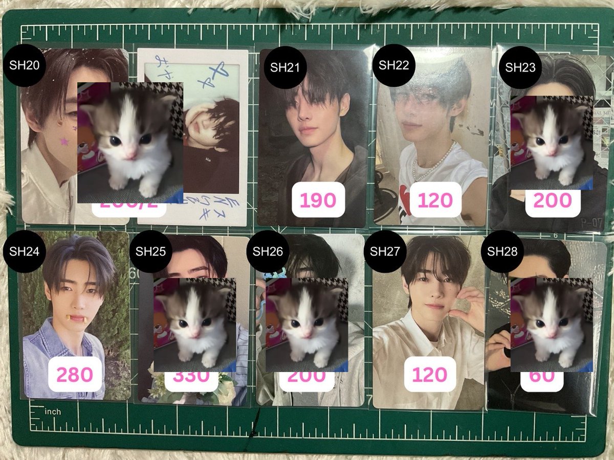 cheri_peanut's tweet photo. ⌗ wts / ready to ship ♪‧⁺ 
                   
                      ((kindly rt))。
~ ♡ sunghoon ราคาตามภาพ。♡
        
         ꒰ รับผ่อน/วอลเลท +10 b —💭꒱
     + Dm :@cheri_peanut

—🚚 shipping 40
— kindly follow before dm  
  #ตลาดนัดenhypen ⭒ https://t.co/4yzuJNwTCT