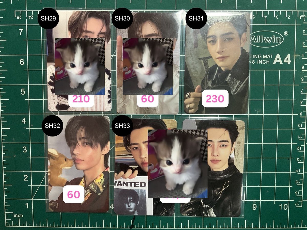 cheri_peanut's tweet photo. ⌗ wts / ready to ship ♪‧⁺ 
                   
                      ((kindly rt))。
~ ♡ sunghoon ราคาตามภาพ。♡
        
         ꒰ รับผ่อน/วอลเลท +10 b —💭꒱
     + Dm :@cheri_peanut

—🚚 shipping 40
— kindly follow before dm  
  #ตลาดนัดenhypen ⭒ https://t.co/4yzuJNwTCT