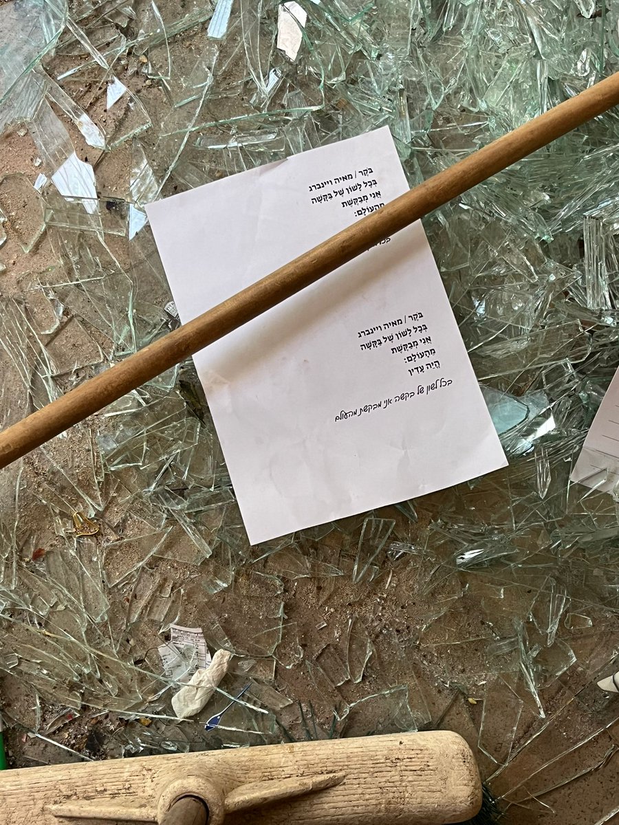 ๐ฃ Roey Perlstein-Dvir tweet media