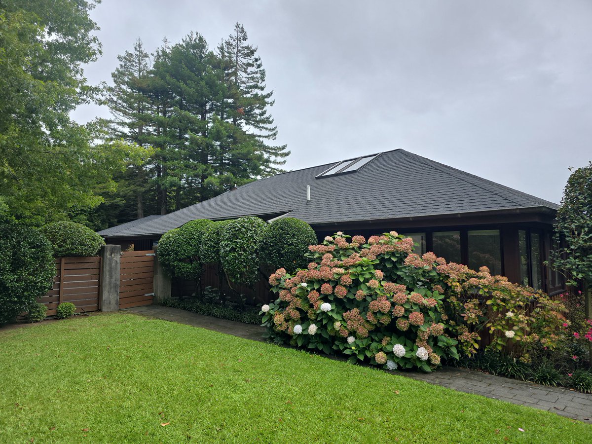 jayvanlent's tweet photo. Gardening on lifestyle blocks is the life 😎✂️🌳 #NewZealand #Auckland https://t.co/o6wFuMimJu