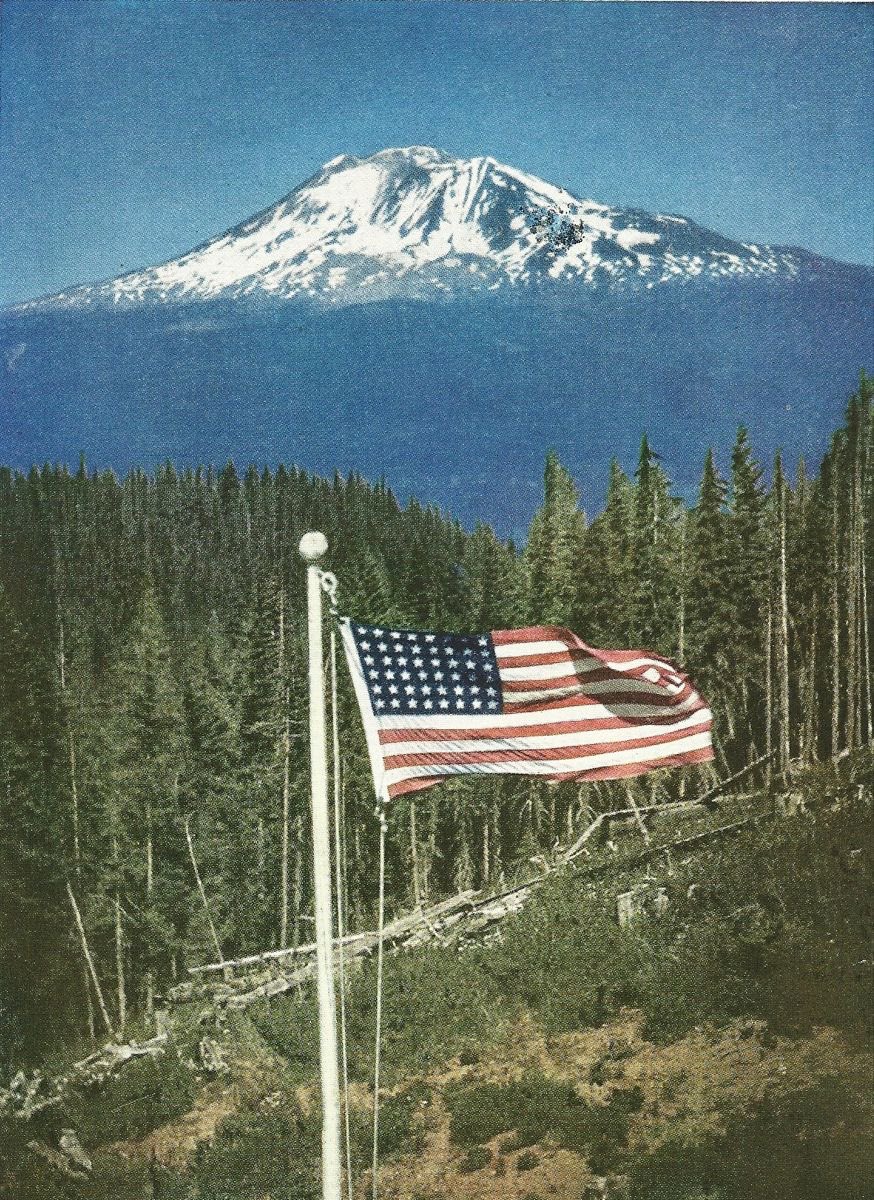 Kurt Steiner tweet media