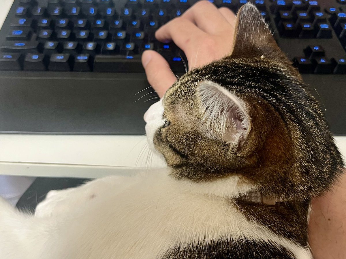 🍚大空らいす*⋆✈ tweet media