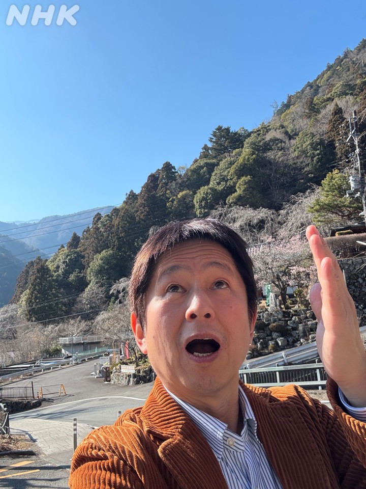 nhk_koufu's tweet photo. 初めて身延山にやって来ました！
清新といってもいいその空気感は
季節のせいだけではないでしょう…

ここを舞台に繰り広げる番組は
後日乞うご期待！
　　　　　　　　　　＃古谷敏郎

NHK ONE のNews #かいドキ 番組ページ👇
https://t.co/uQhhglKH1e https://t.co/QzXBxabahJ