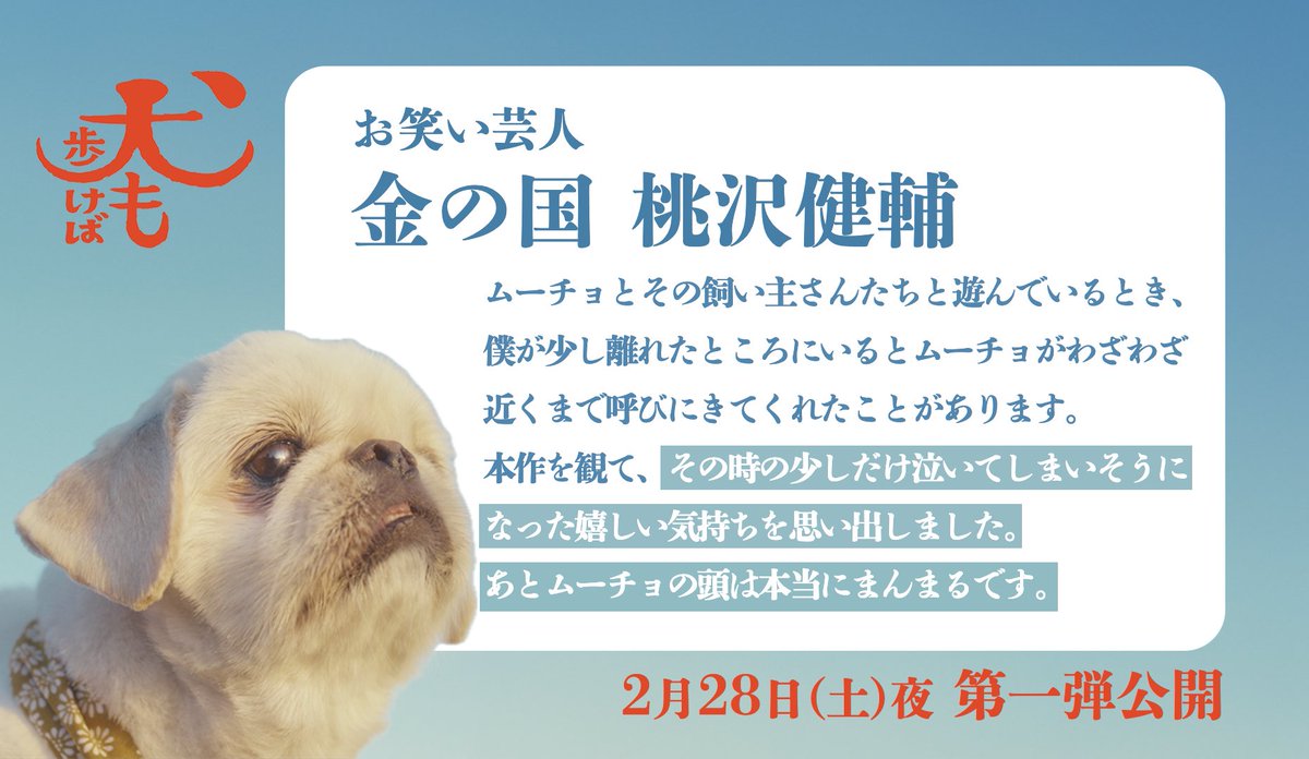 「犬も歩けば」　犬と人の人情ドラマ tweet media