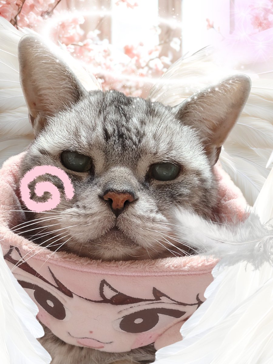 公式さん。 このぉ時間もまだ アカウント開設されてなぃみたぃです、ね