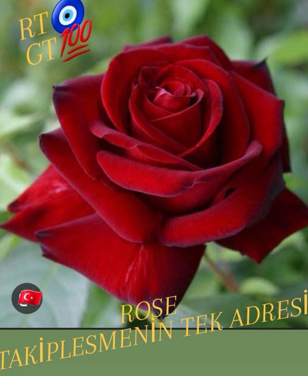 Aslhan🇹🇷💛💙🇹🇷 tweet media