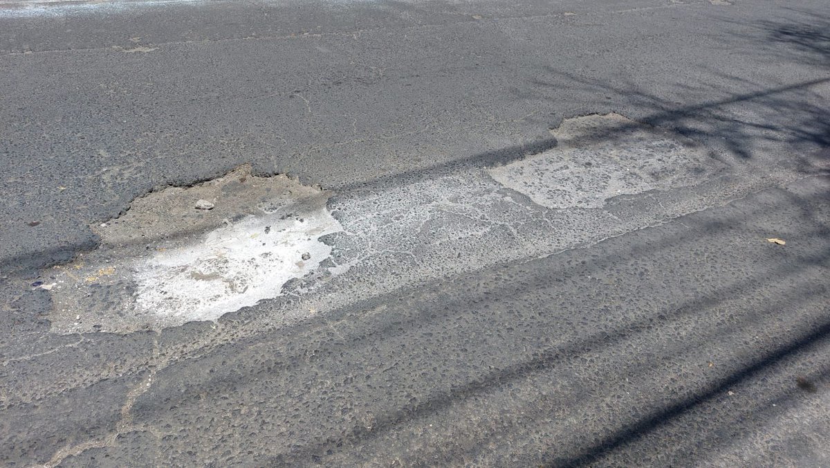 Arturo Ávila. tweet media