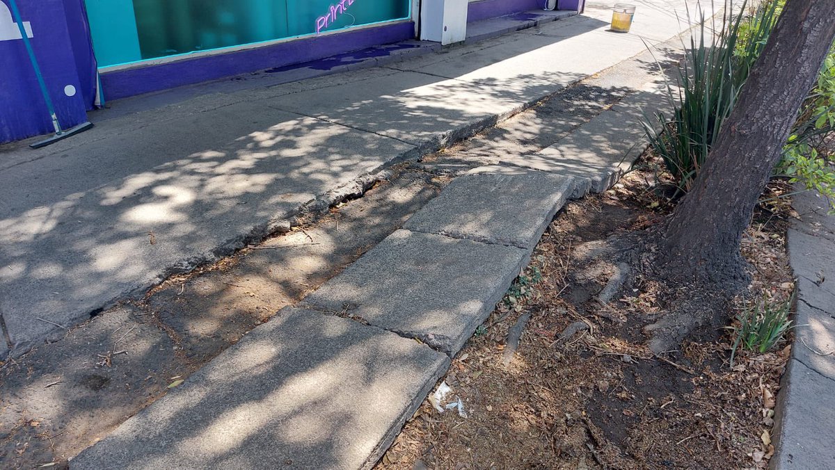 Arturo Ávila. tweet media