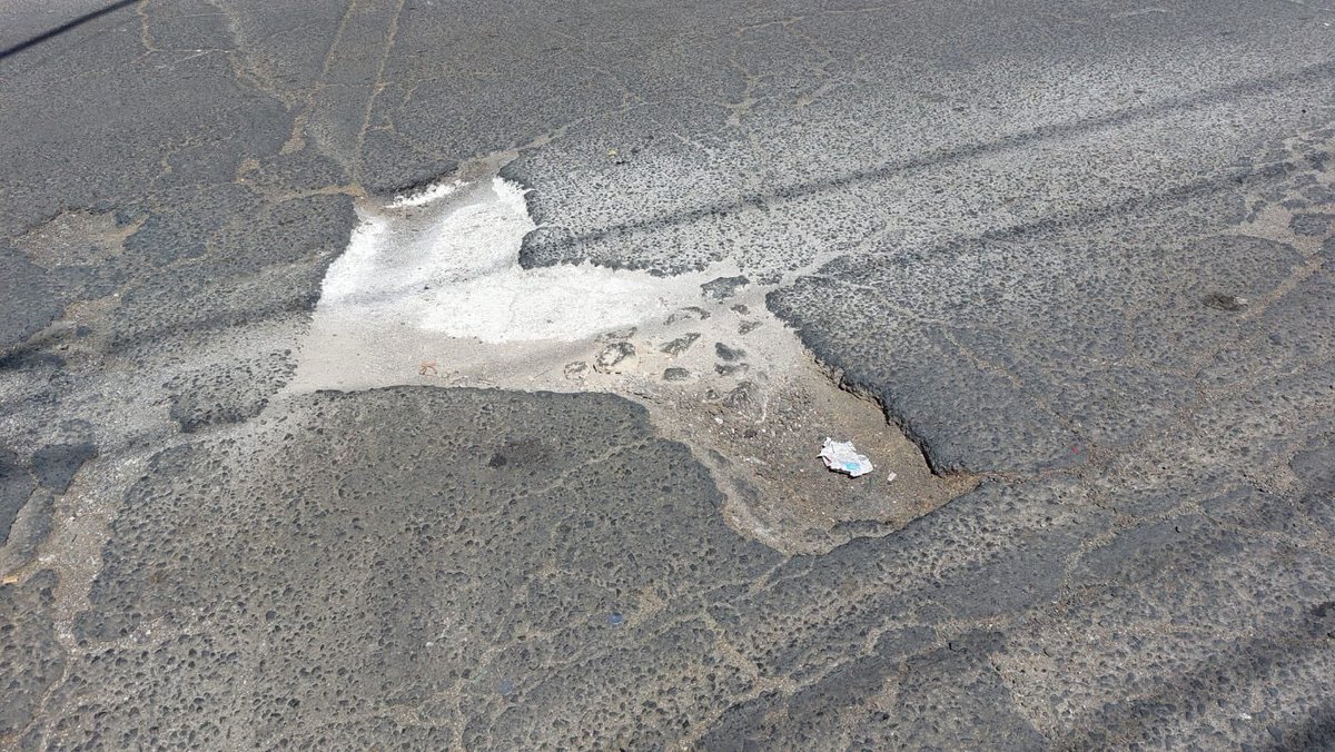 Arturo Ávila. tweet media