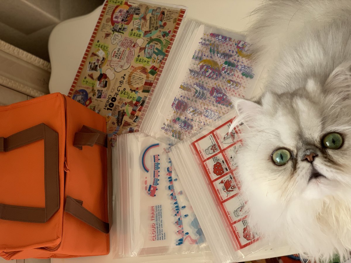 めぐねこ #愛猫 】 あたちのお気に入り❤️ レトロ柄🎁届いたﾆｬﾝ