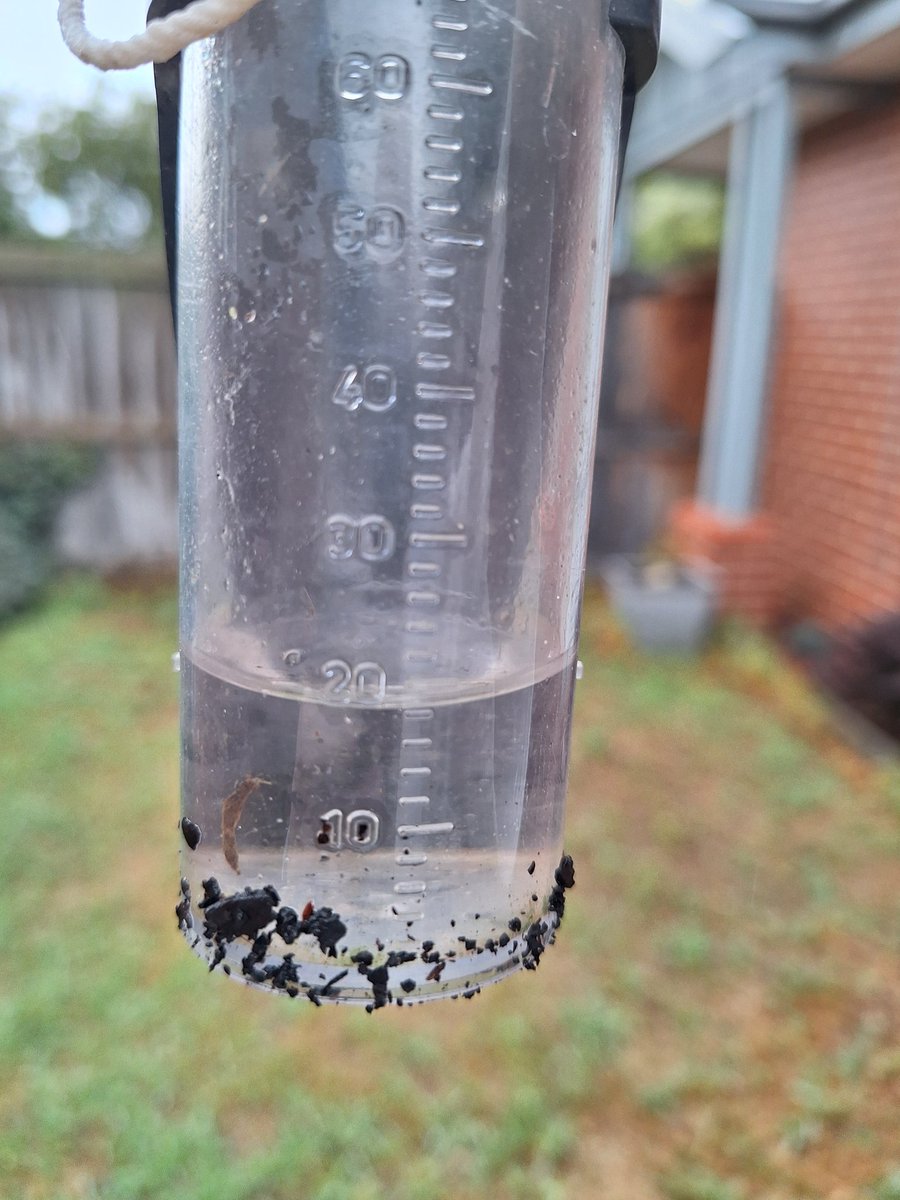 Sue C 🐯 tweet media