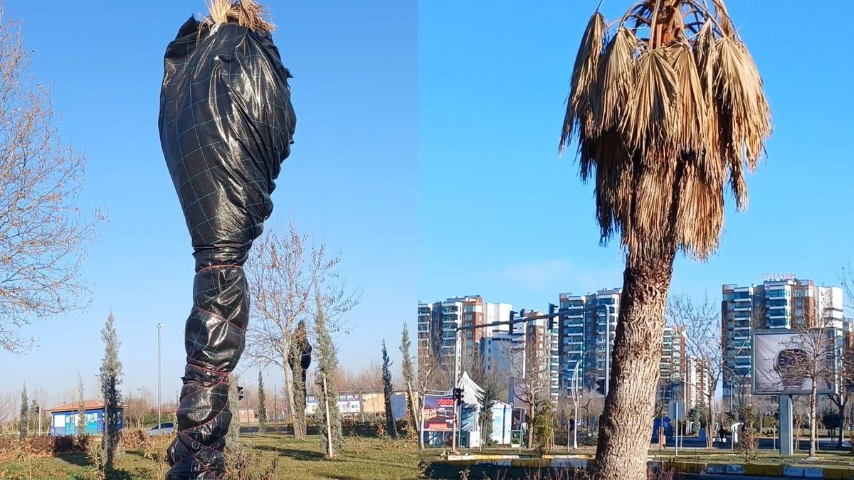 Diyarbakır Kulis Haber tweet media