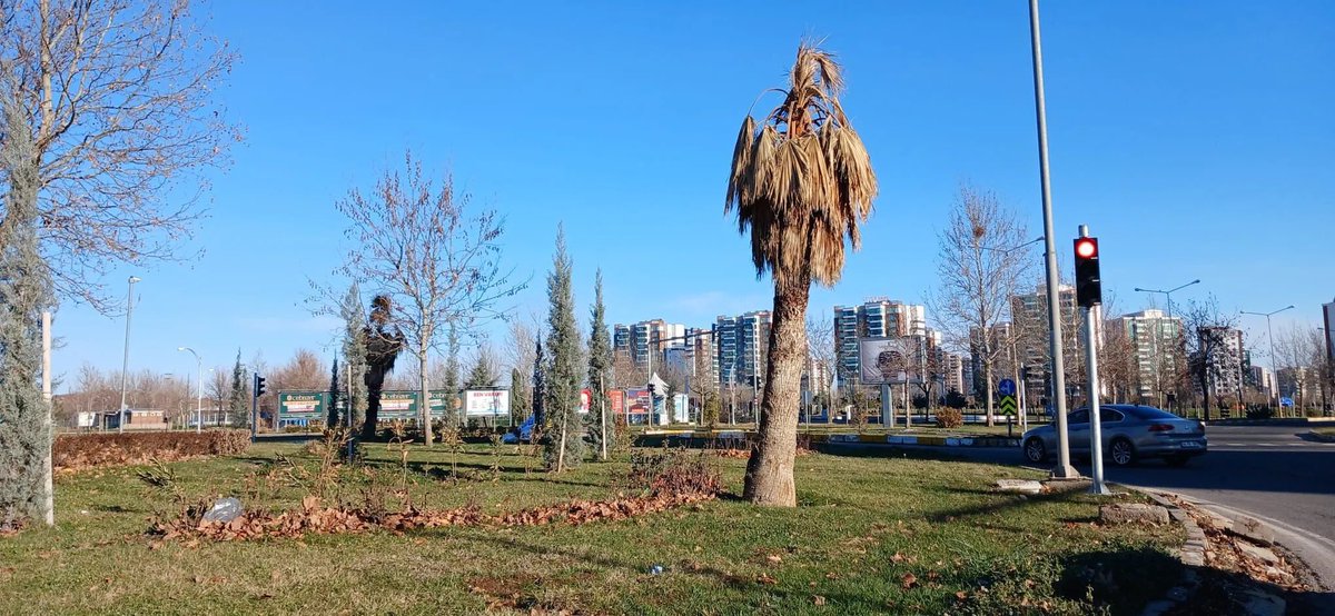 Diyarbakır Kulis Haber tweet media