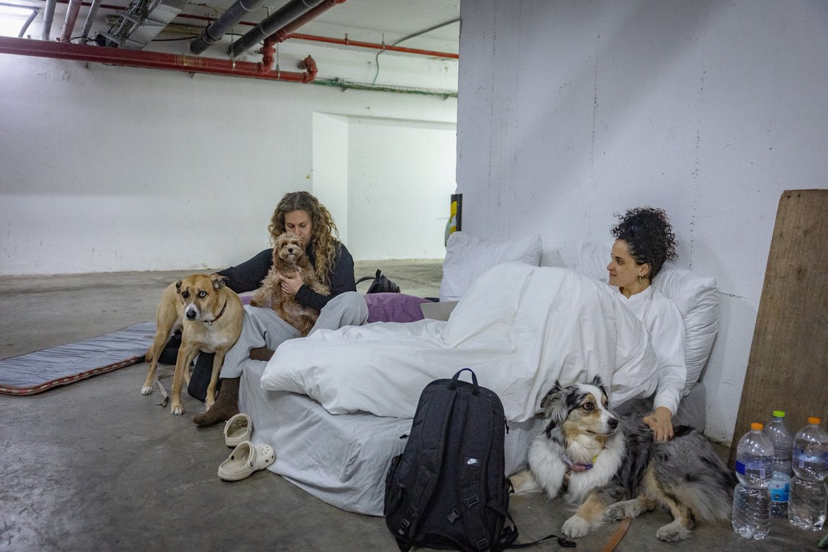 Israelis sitting in the bomb shelter with their pet dogs.

Dogs are part of the family here in Israel.