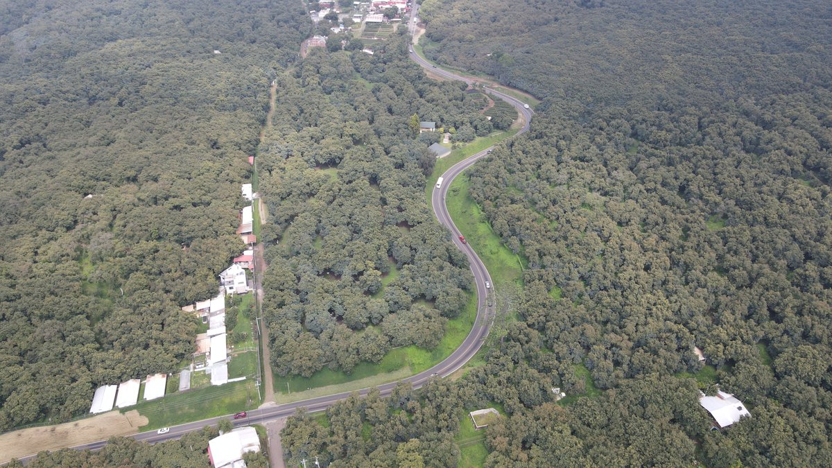 SCOP MICH tweet media