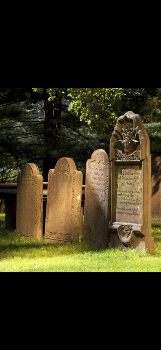 A grieving dog who would not leave his owner’s gravesite has led to Brazil changing laws to allow pets to be buried with their humans

The dog, Bob, stayed at the cemetery where his owner was buried for 10 years.🐕🐾❤️
#AnimalLovers #DogLovers