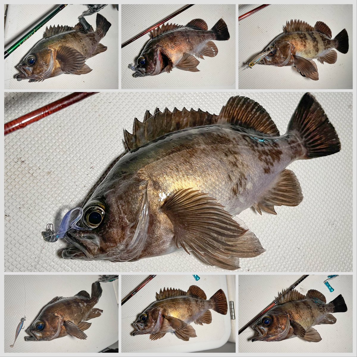 チキュー (@chikyu523) / Posts / X