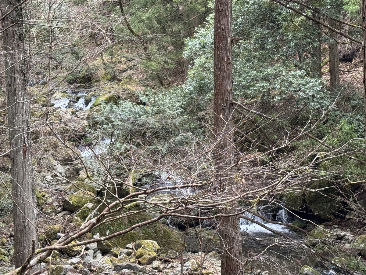 今日も行って来た^ ^