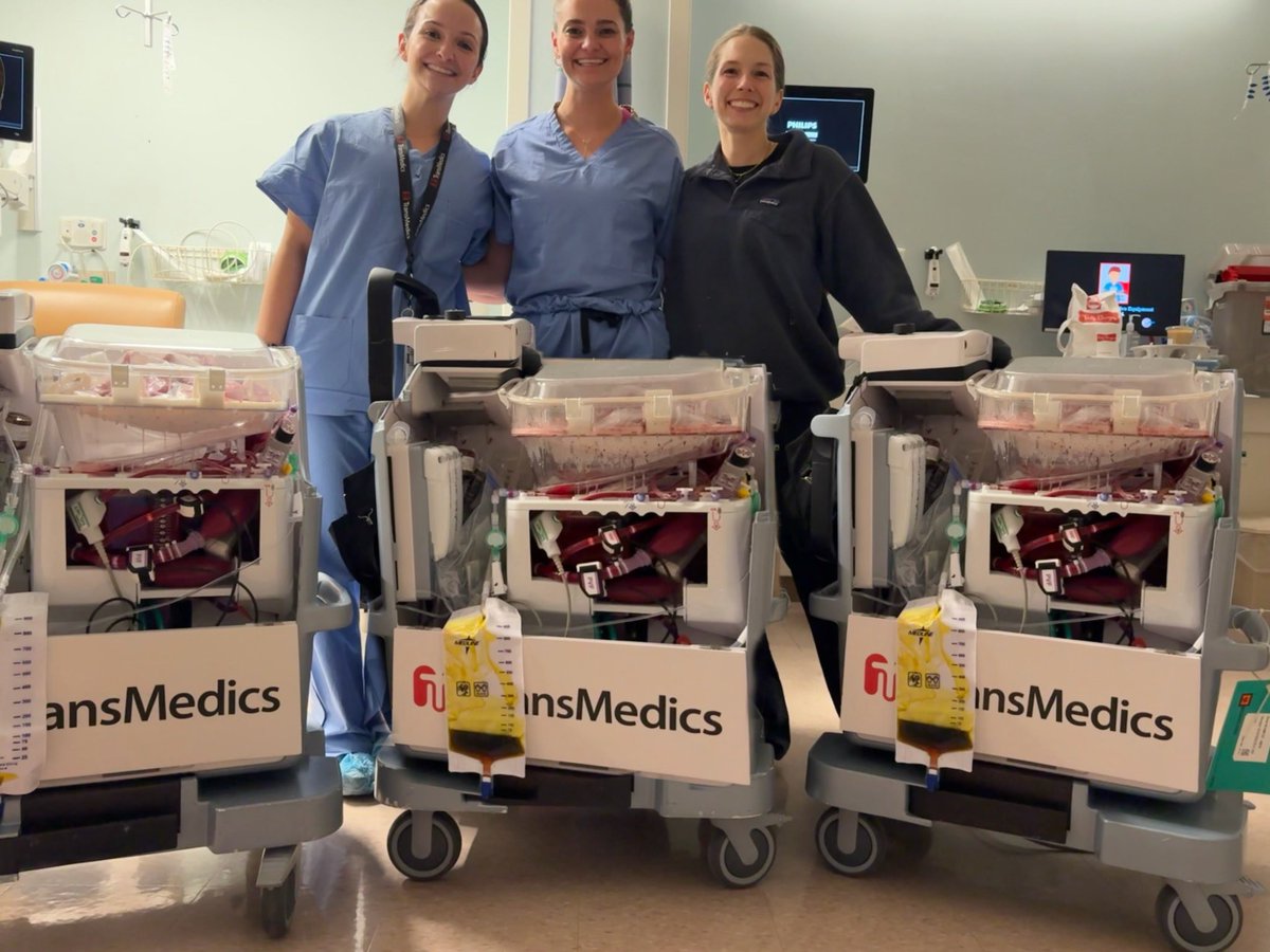 Martin Dib tweet media