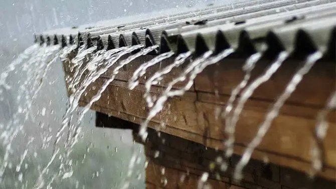 Fiji Sun tweet media