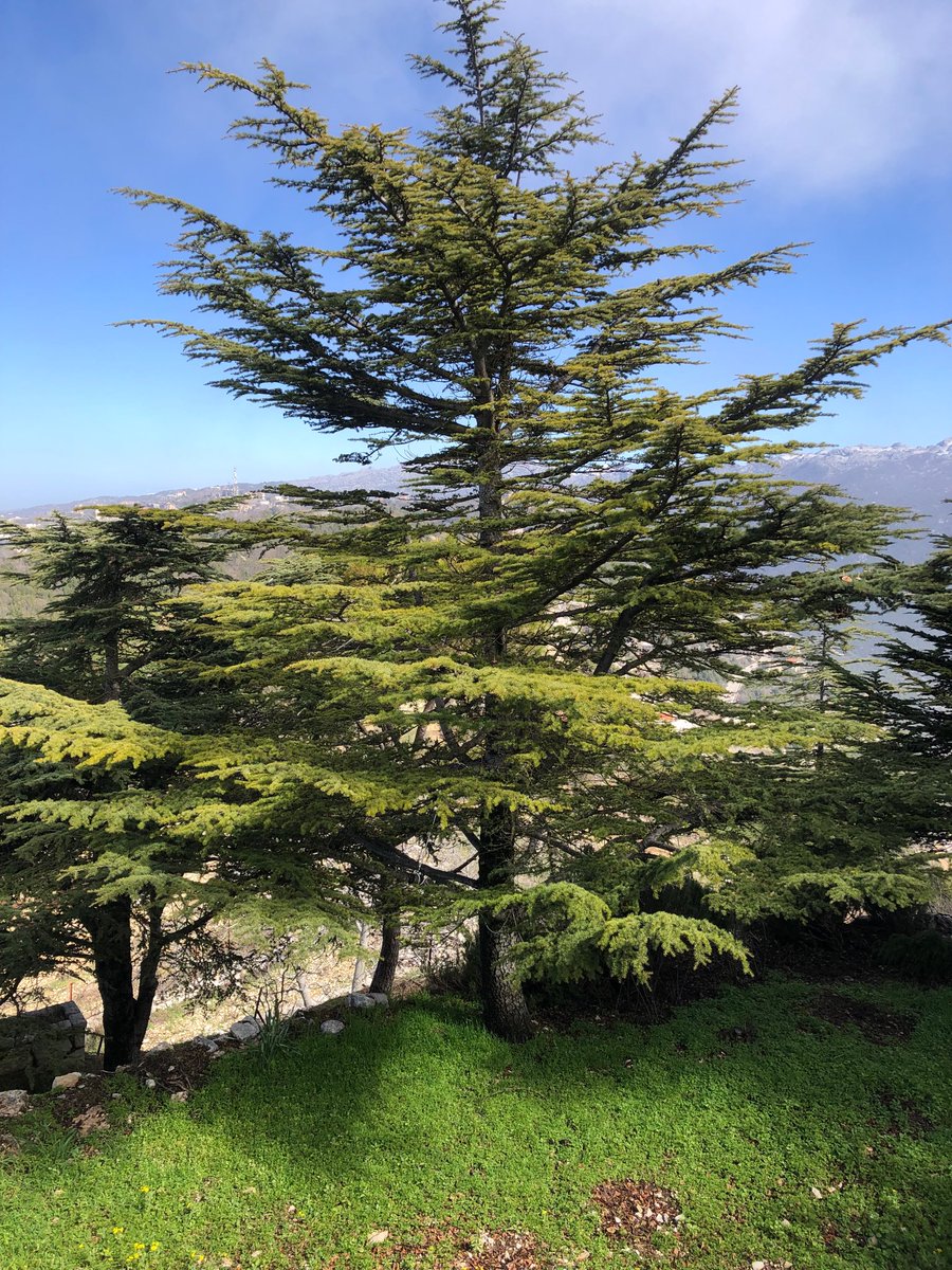 Marie Nassar tweet media