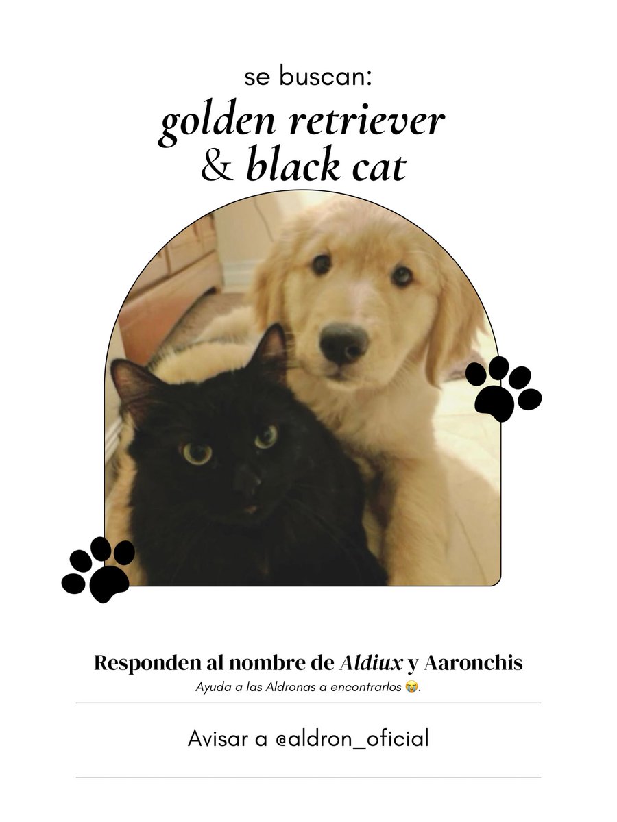 los aldron hoy sin contexto:

después de las arrastradas q puse hoy me merezco una actualización, pónganse pilas Aldito y Aaroncho
