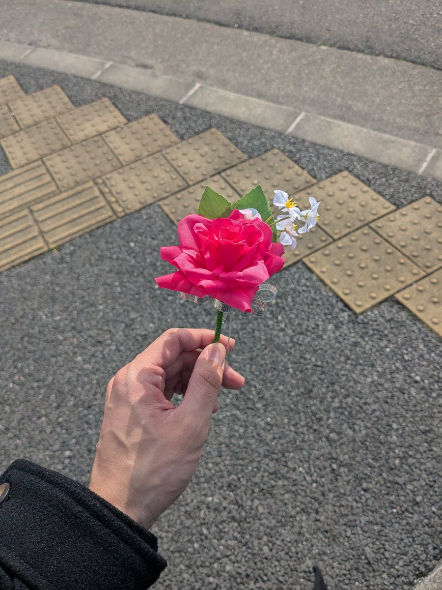 かなで【Satellite】 tweet media