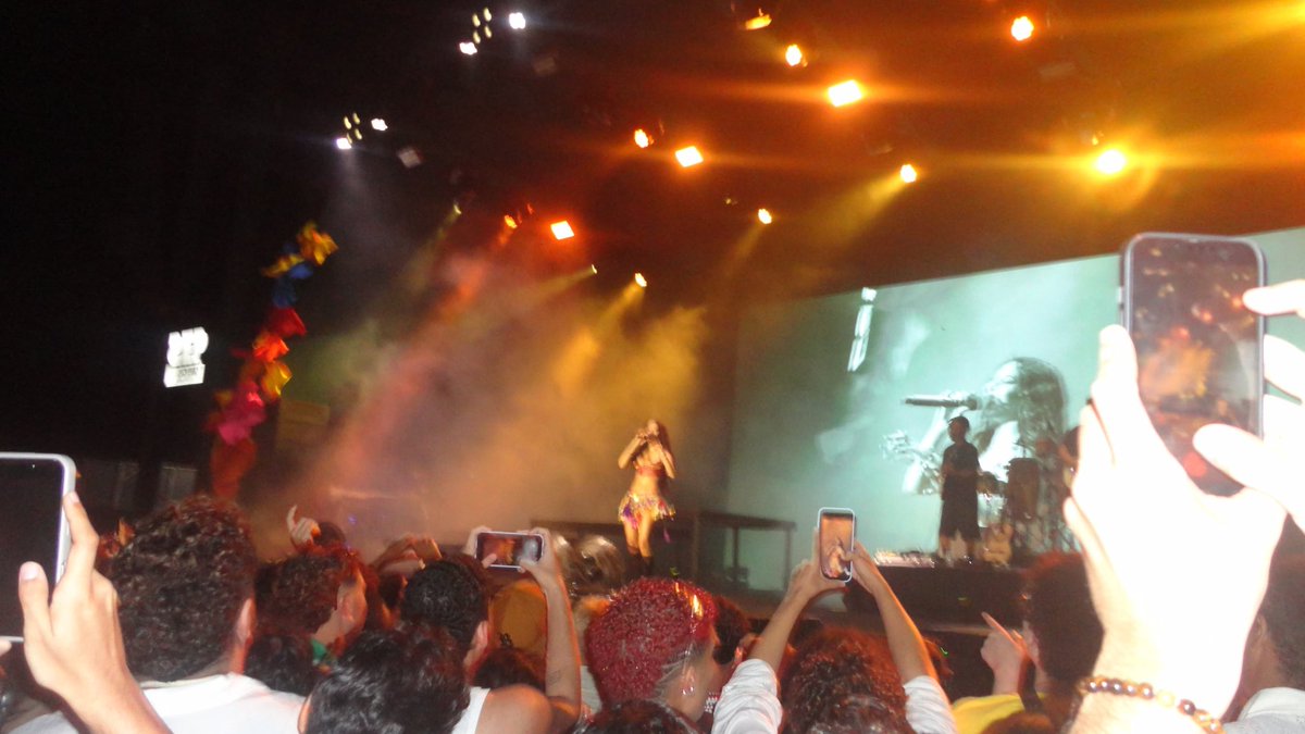 pedrin bilionário tweet media