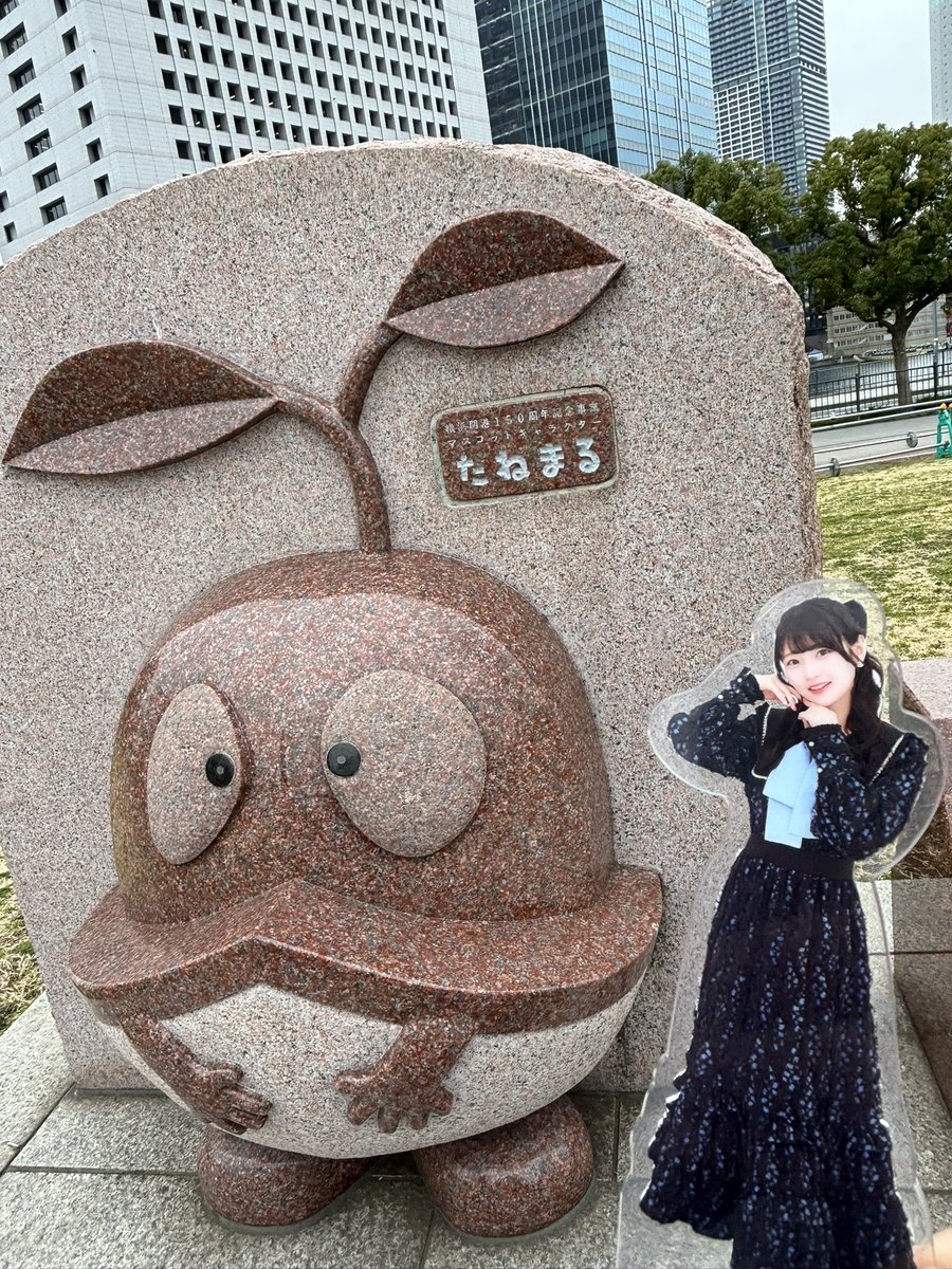 横浜開港150周年記念のマスコットキャラクターのたねまるだよひなぴよ