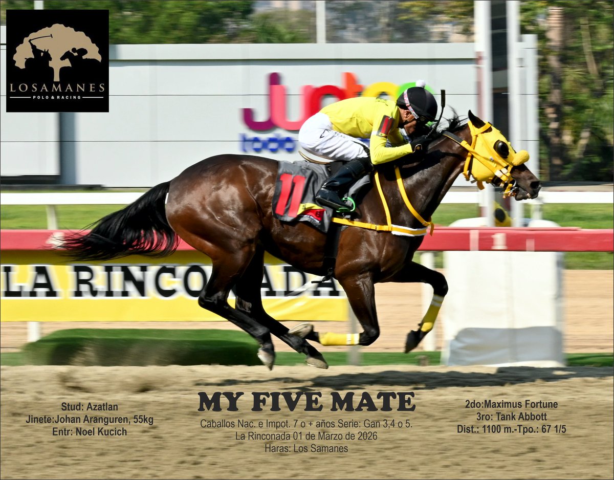 Los Samanes Polo & Racing tweet media