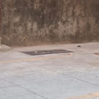 Ward RC BMC tweet media