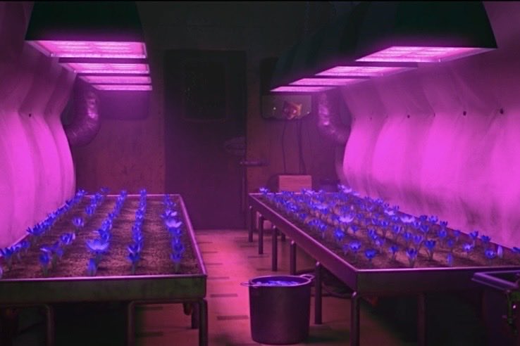 겨울이 tweet media