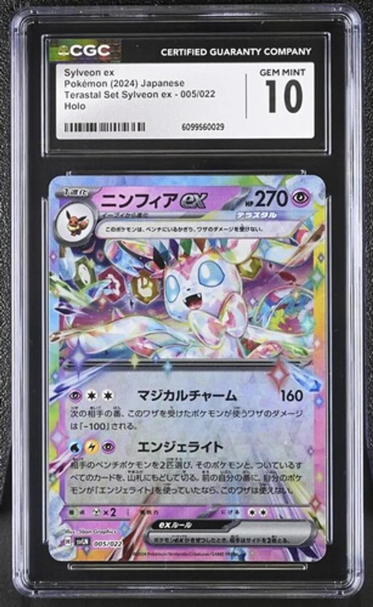 Collector Crypt on TON 💎 tweet media