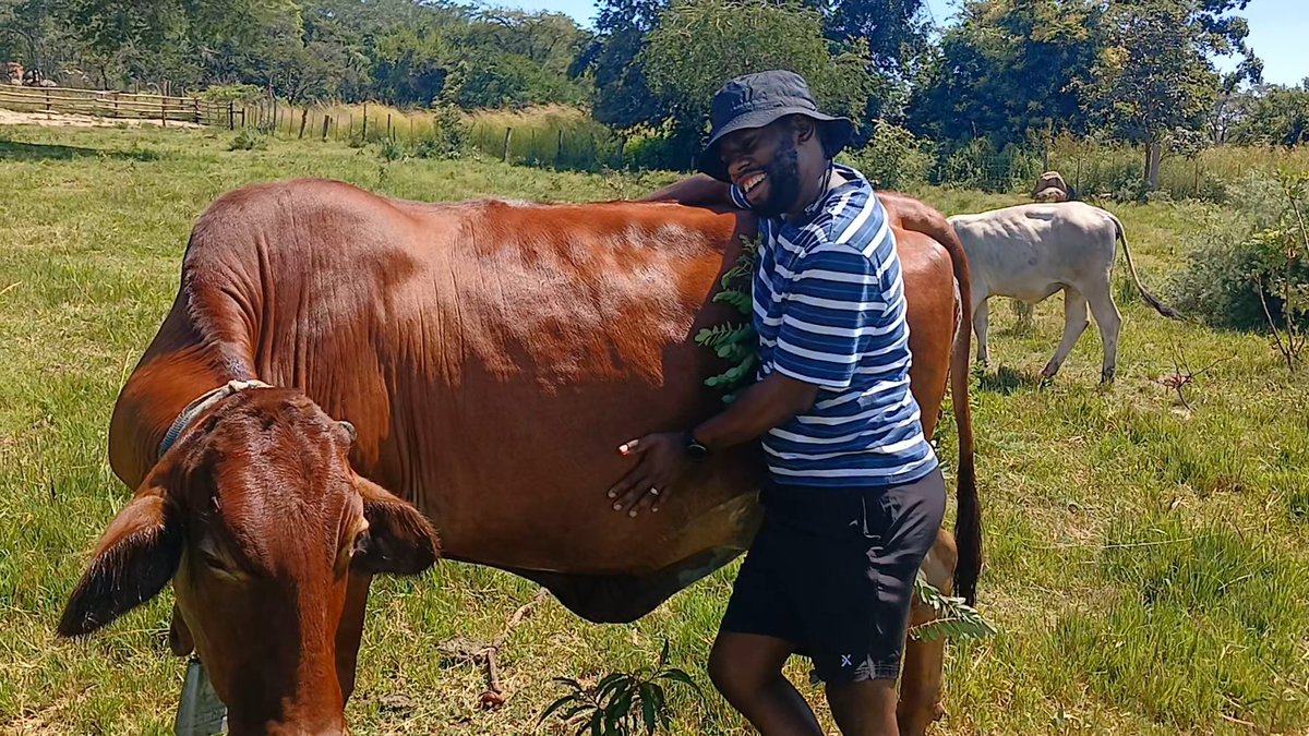 Gery Usuwaba tweet media