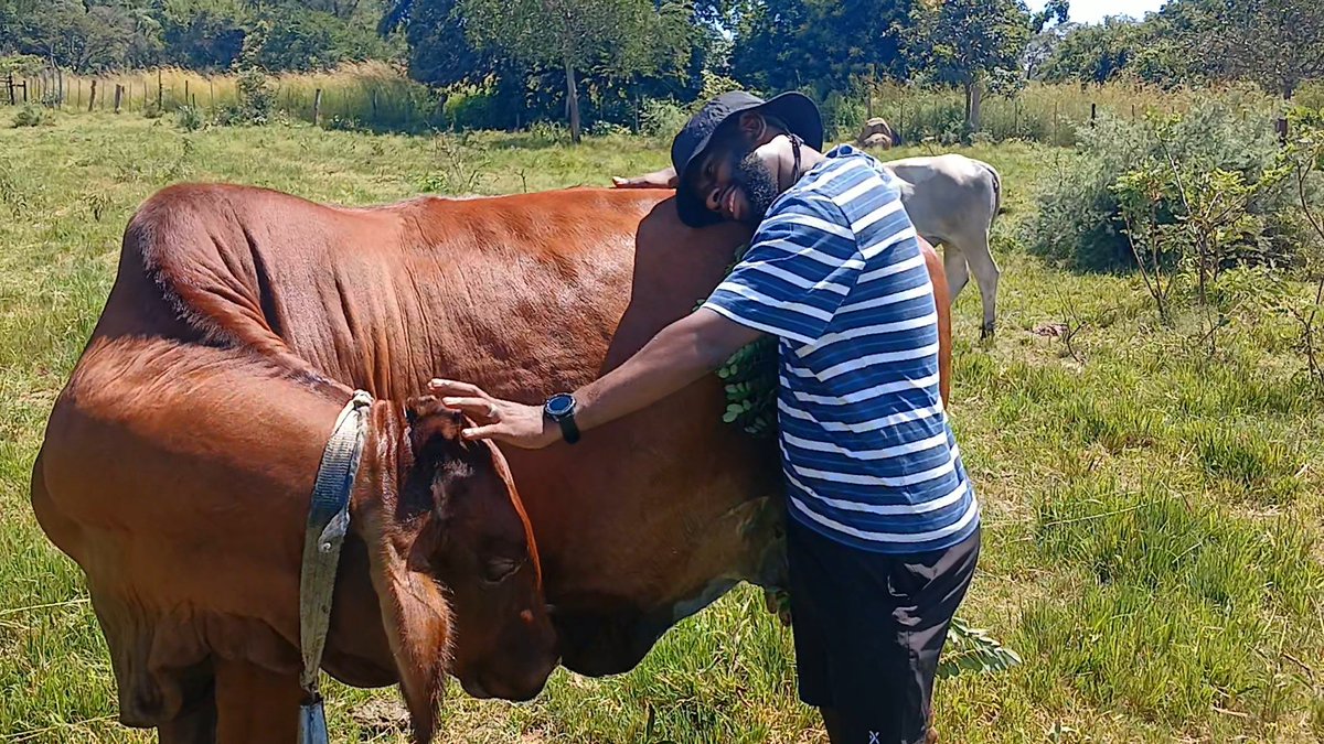 Gery Usuwaba tweet media