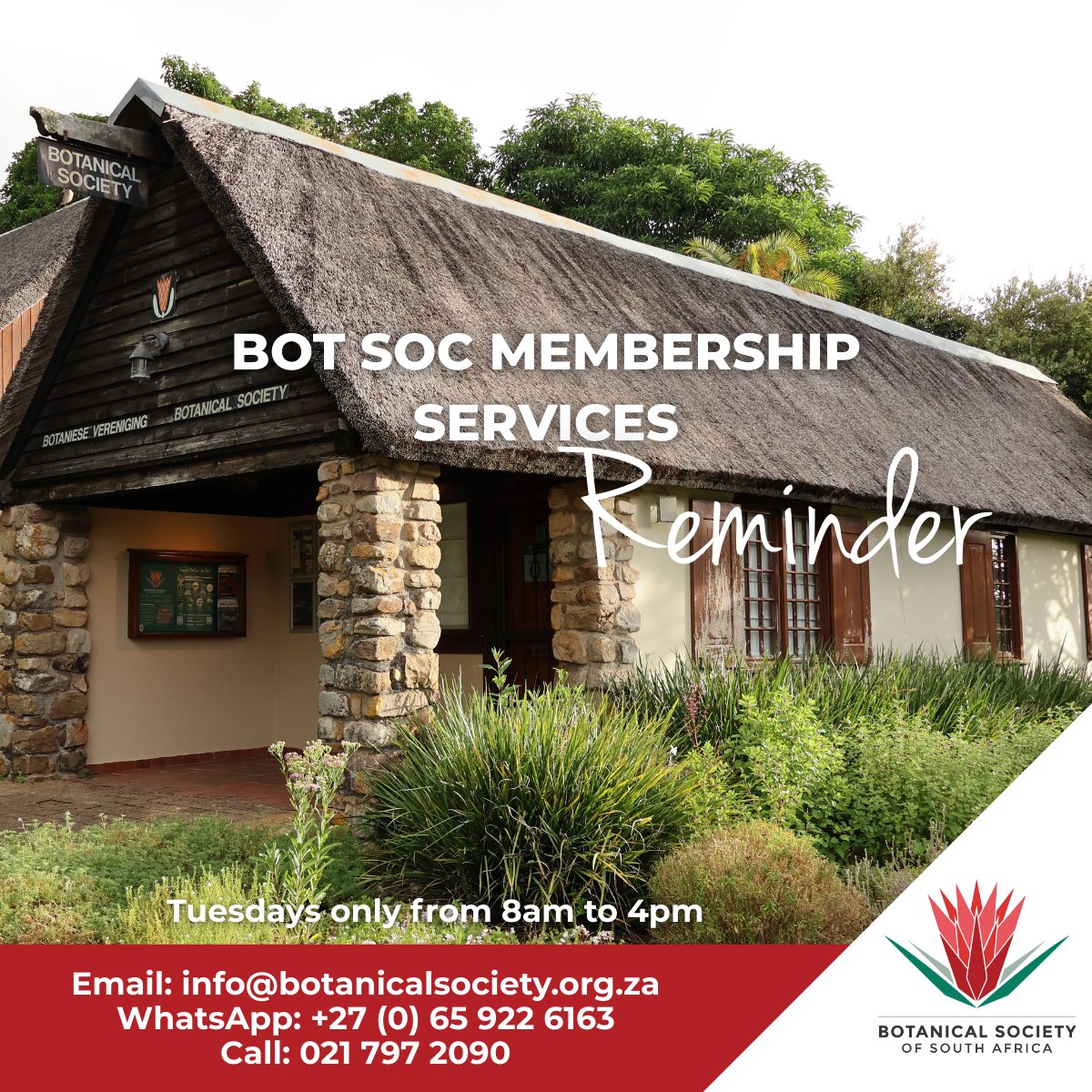 BotSocSA tweet media