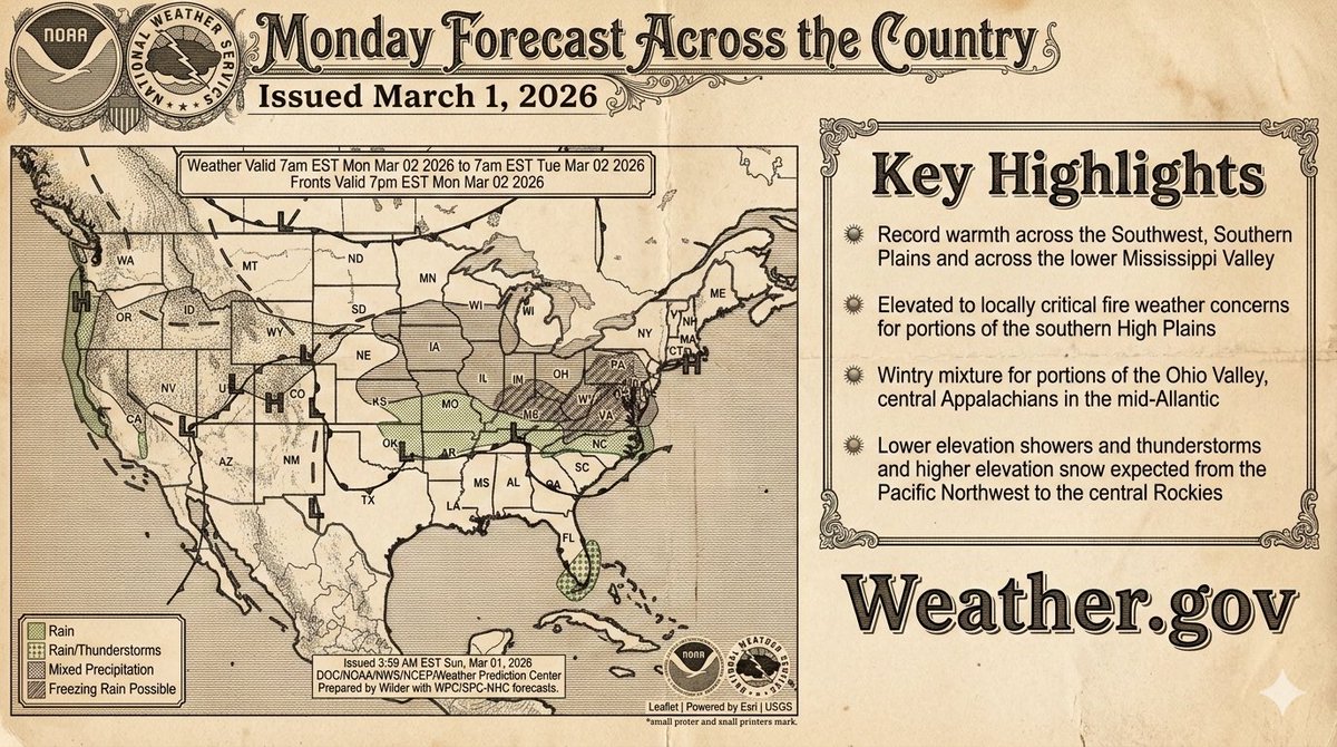 panthersfan tweet media